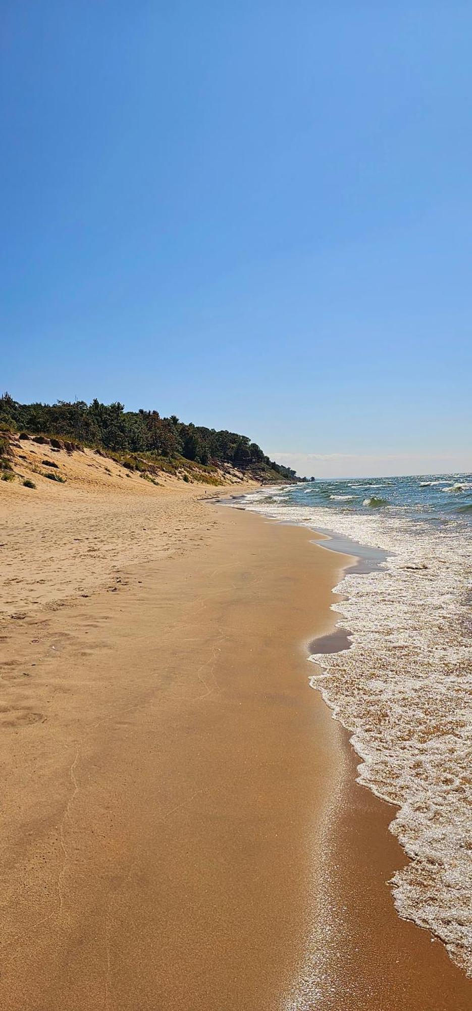 Tiny Digs Lakeshore - Tiny House Lodging Muskegon Esterno foto